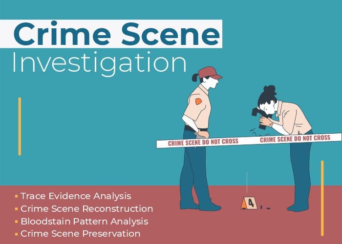 Crime Scene Investigation: Expert Services for Solving Mysteries