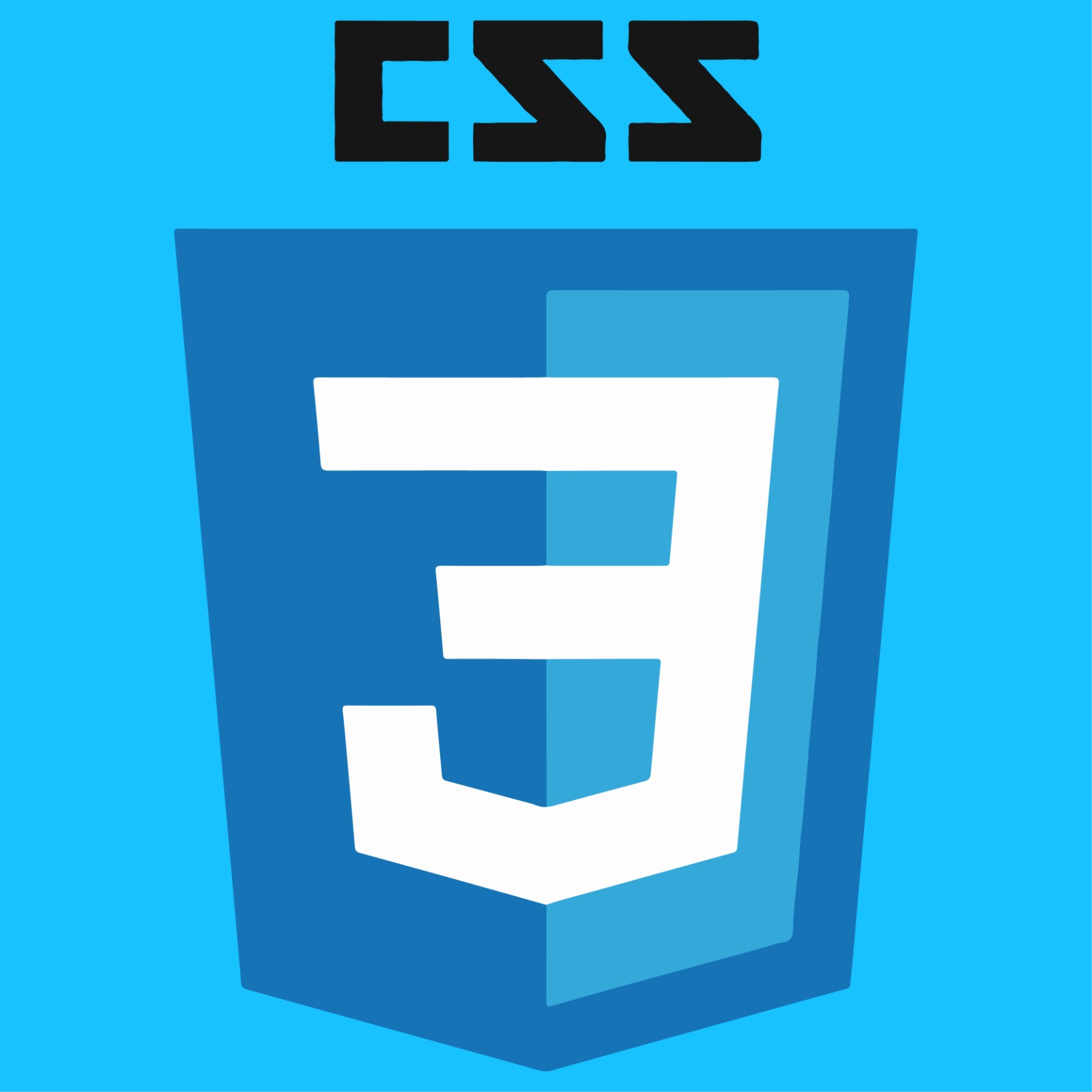 CSS MCQs